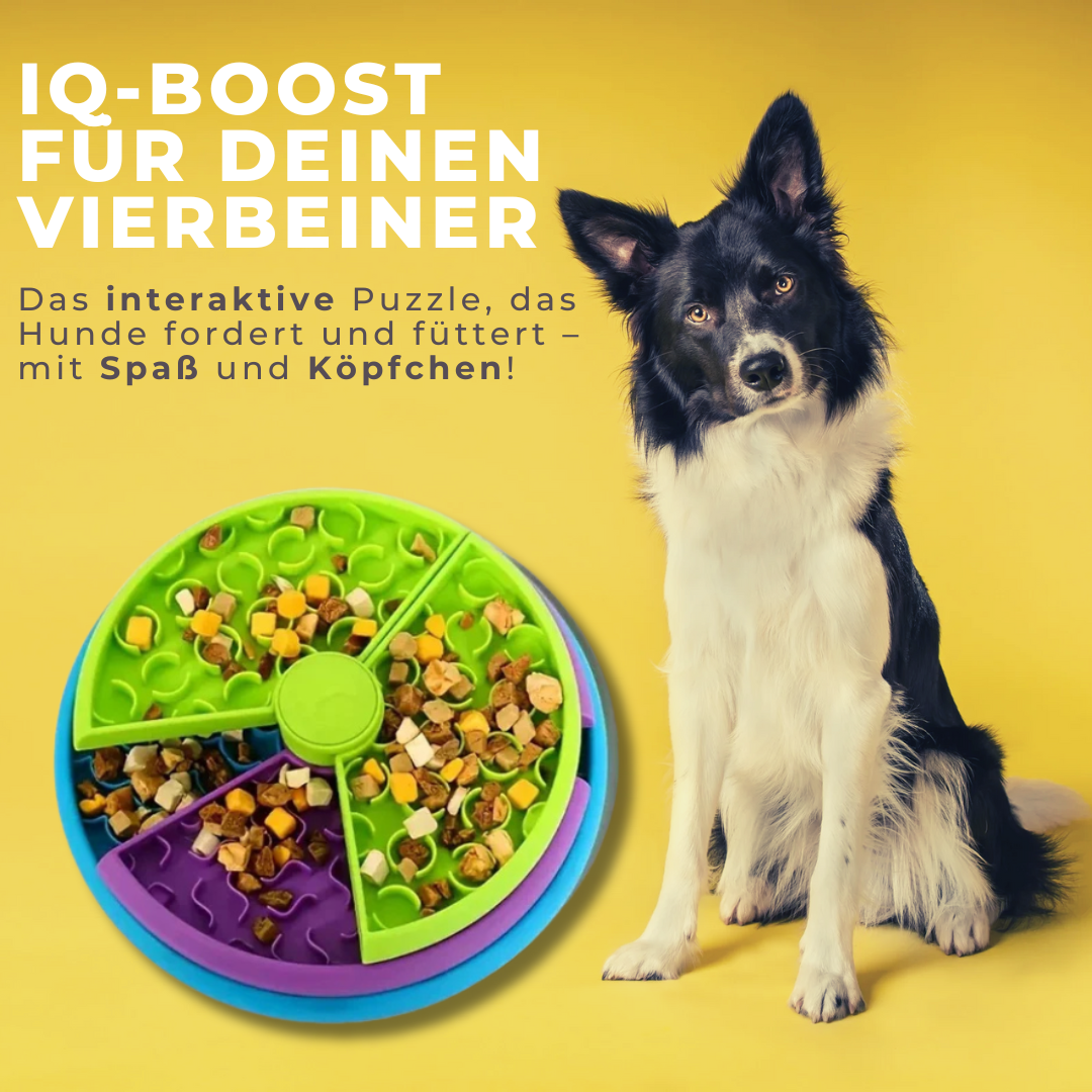 BrainPaws™ - Intelligenz & Spaß in Einem! 🐶🧠✨