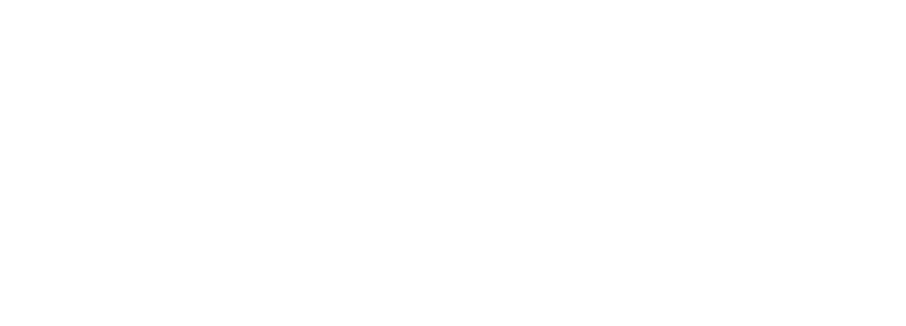 feature-item-1